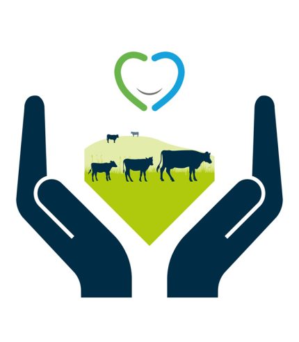 Cattle Health Management