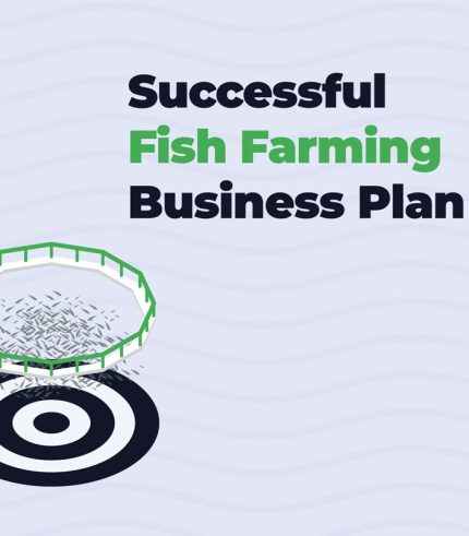 Fish Farm Business