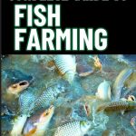 Fish Farming Basics