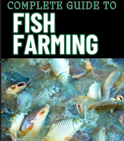 Fish Farming Basics