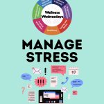 The Alchemy of Pressure: A Comprehensive Guide to Stress Management