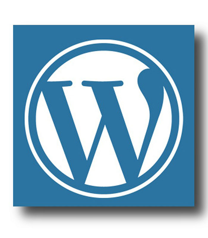 WordPress Professional Setup-1 WordPress Professional Setup - Image 1