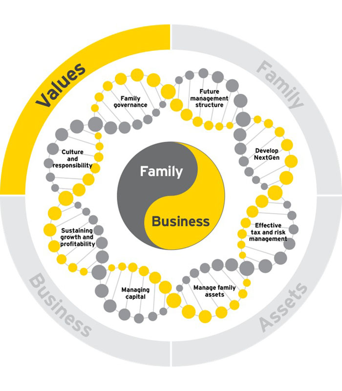 Family Business Management-1 Family Business Management - Image 1