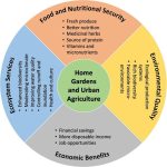 Home Gardening & Urban Farming