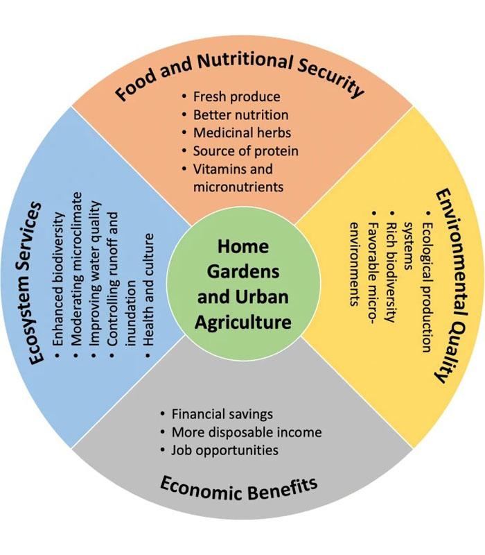 Home Gardening-1 Home Gardening & Urban Farming - Image 1