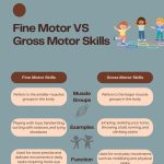 Fine & Gross Motor Skills