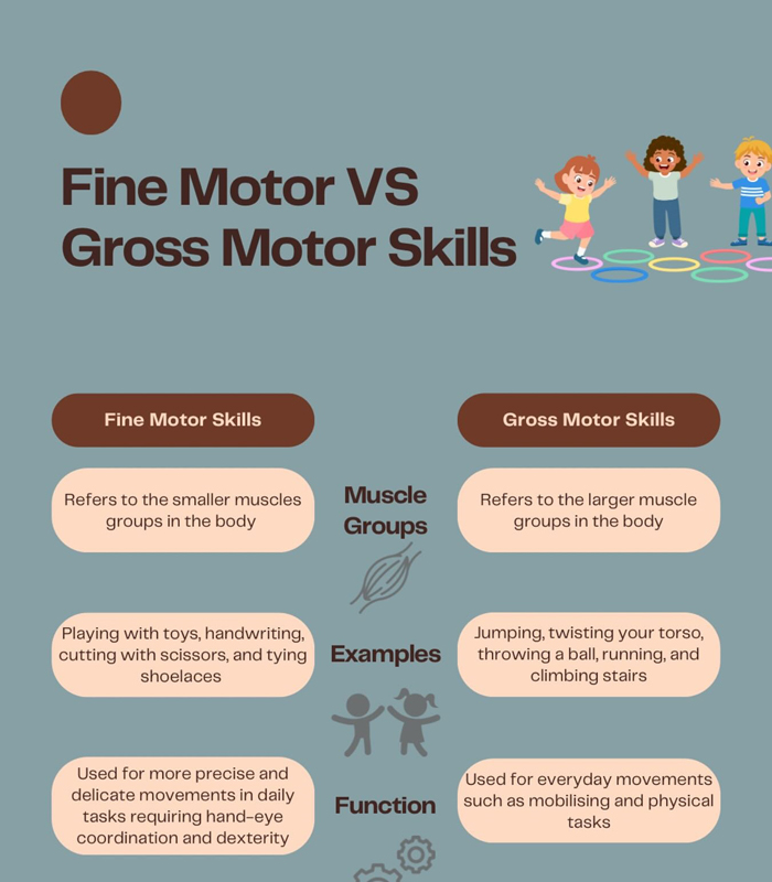 Fine & Gross Motor Skills-1 Fine & Gross Motor Skills - Image 1